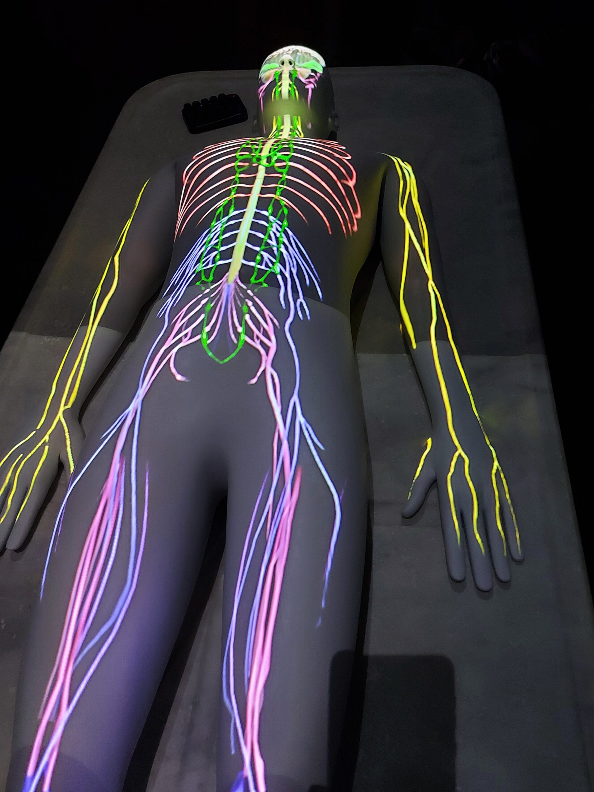 Visit the Museum of the History of Medicine at the Medical University